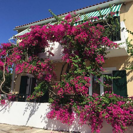 Casa Buganvilla Minia 외부 사진