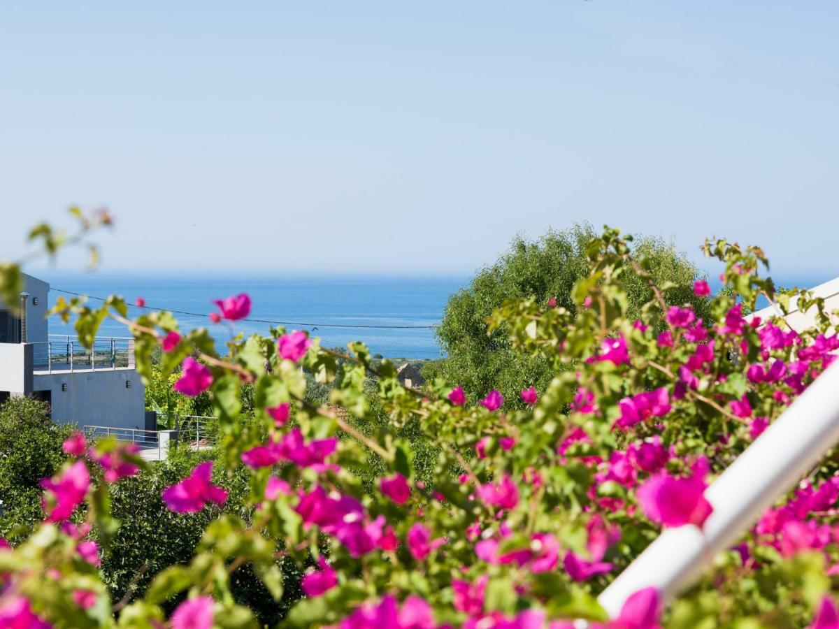 Casa Buganvilla Minia 외부 사진