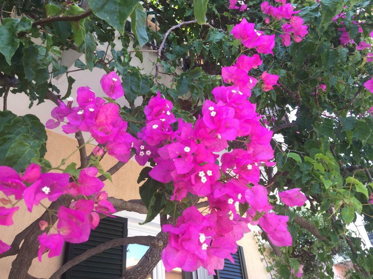 Casa Buganvilla Minia 외부 사진