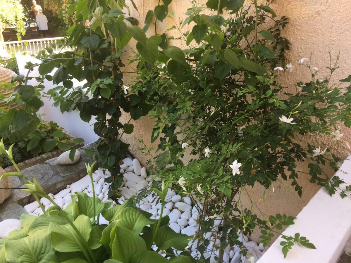 Casa Buganvilla Minia 외부 사진