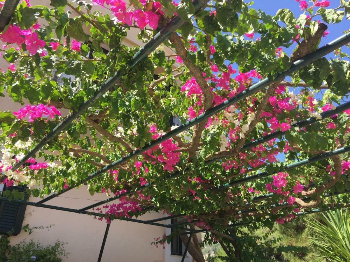 Casa Buganvilla Minia 외부 사진